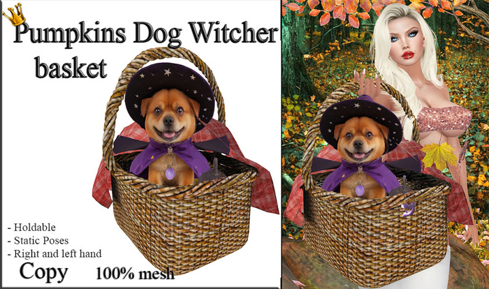 Pumpkins Dog Witcher basket