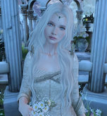 :KR: Ciri Shape & Style Card Lelutka Avalon + Legacy