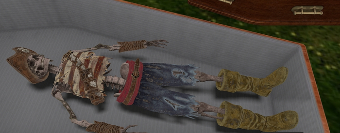 pirate coffin