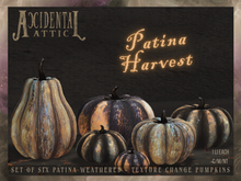Accidental Attic - Patina Harvest Pumpkins 