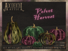 Accidental Attic - Velvet Harvest Pumpkins 
