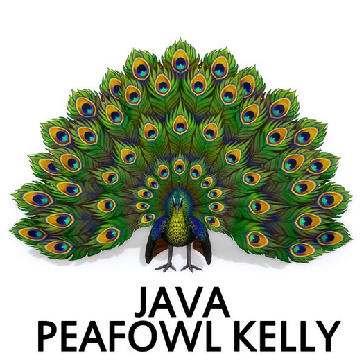 Amaretto Peacock ULTRA RARE Kelly Chloro M