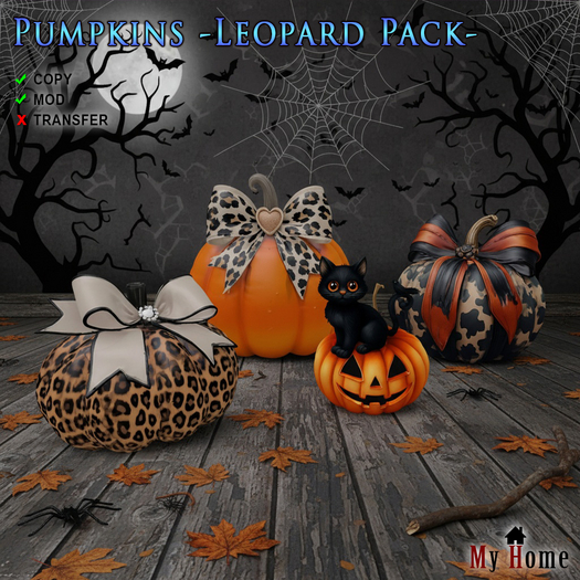[My Home] Pumpkins -Leopard Pack-