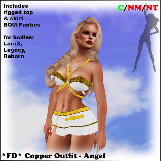 *FD* Copper Outfit [Boxed] Angel