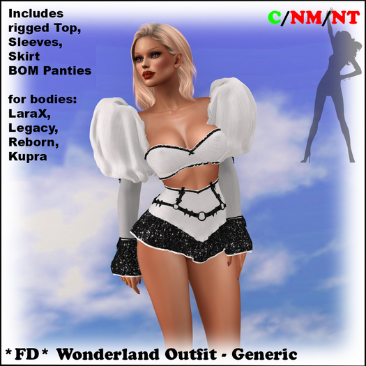 *FD* Wonderland Outfit [Boxed] Generic