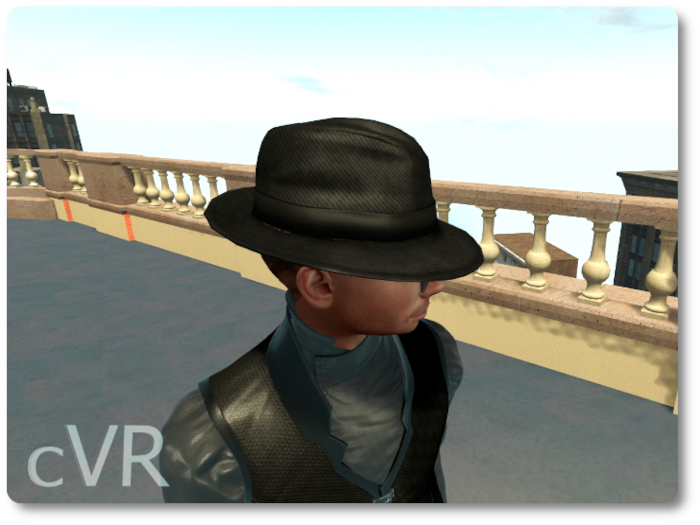 cVR  Mafia hat in Cardboard box