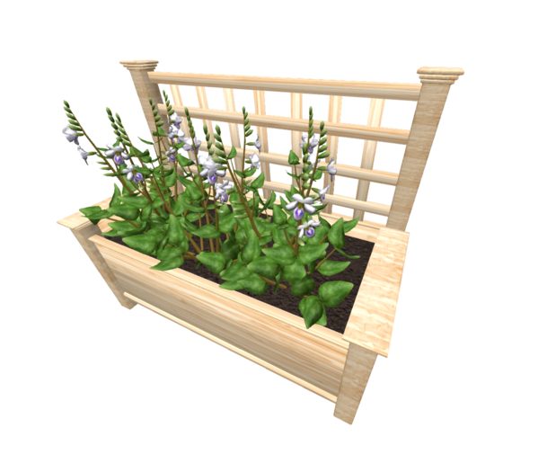 Arbor Planter Chinese violet
