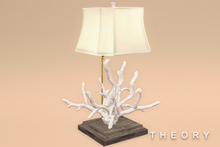 CORAL LAMP FA25 - THEORY - ADD