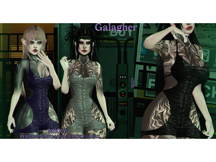 Galagher - Nikky Fatpack