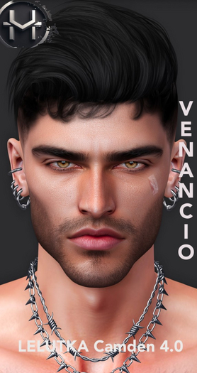 HOMINIS MAXIMUM - LELUTKA - CAMDEN - SHAPE VENANCIO