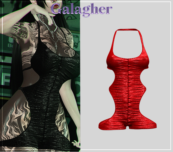 Galagher - Nikky Edition 5