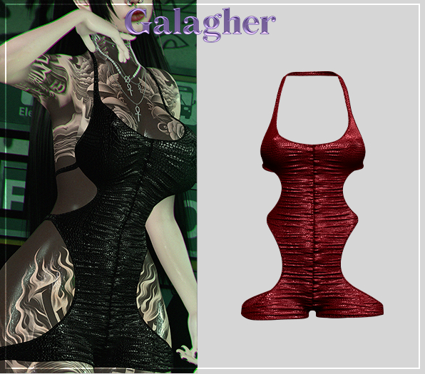 Galagher - Nikky Edition 3