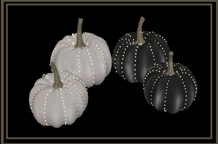 Good & Bad Witches Gacha Pumpkin