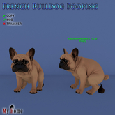 [My Home] French Bulldog Pooping Tip Jar and Decor
