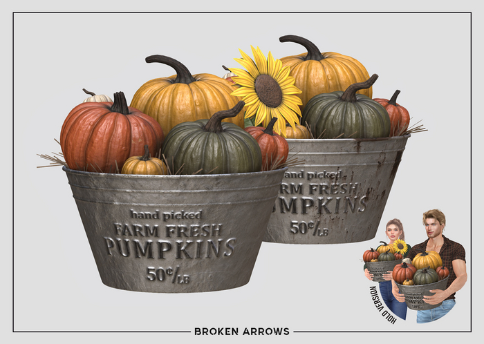 BROKEN ARROWS - Fresh Pumpkins - Colorful II 