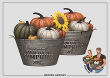 BROKEN ARROWS - Fresh Pumpkins - Colorful