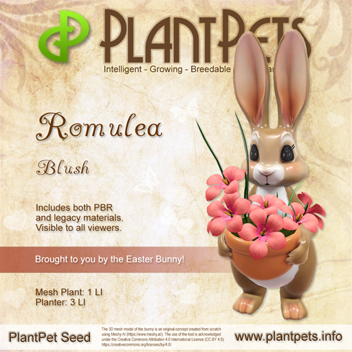 PlantPet Seed [Romulea *Blush*]