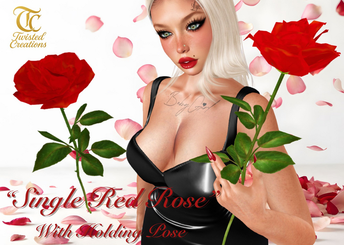 TC - Single Red Rose with Holding Pose