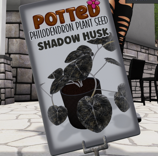 Potted: Philodendron Seed: Shadow Husk