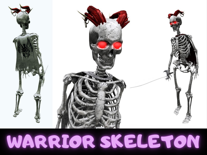 Warrior Skeleton Complete Avatar