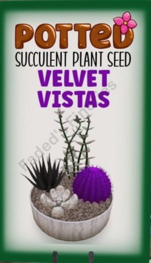Potted: Succulent Seed: Velvet Vistas