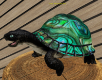 Male Breedable Foxtrot Box Turtle SEASHELL TEAL Large