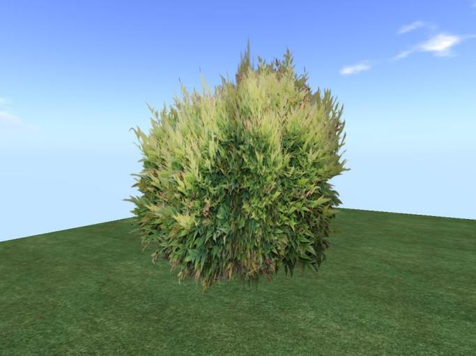Arkads 1 Prim Heavenly Bamboo