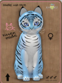 KittyCatS Box - Tiger! - Powder Blue Female