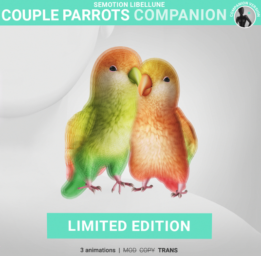 SEmotion Libellune Couple Parrots Companion LIMITED