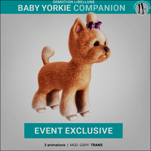 SEmotion Libellune Baby Yorkie Companion EXCLUSIVE