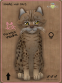 KittyCatS Box - Ocicat - Chocolate Female