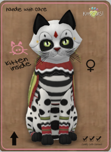 KittyCatS Box - HarleCatS! - Super Star Female