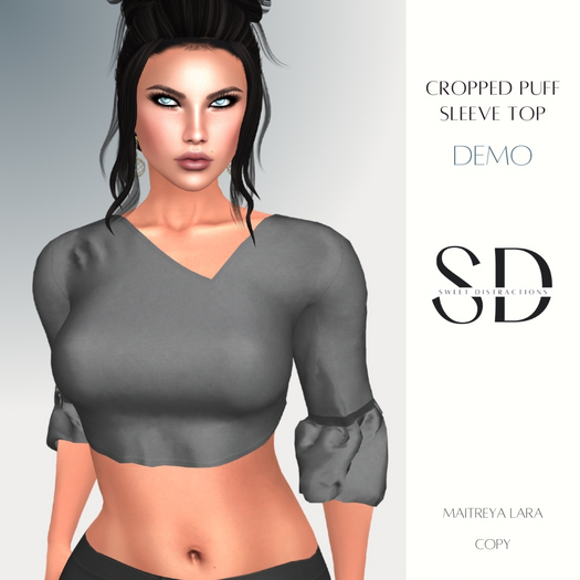 S/D DEMO Mesh Cropped Puff Sleeve Top