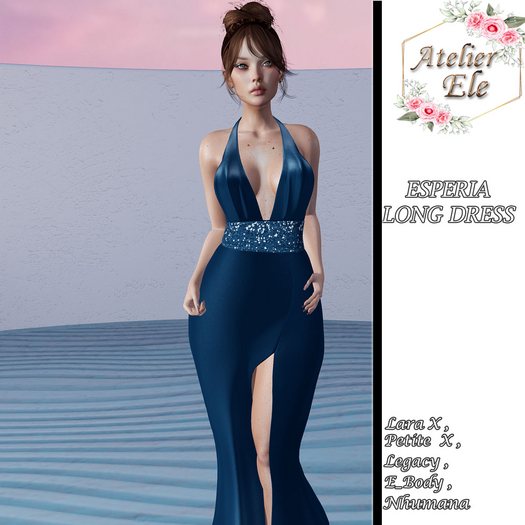{AE}  ESPERIA LONG DRESS
