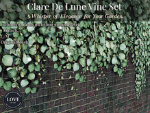 LOVE - CLARE DE LUNE VINE 