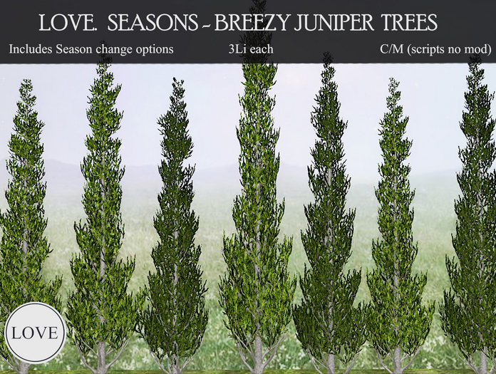 LOVE - SEASONS - JUNIPER TREES - BREEZY EFFECT