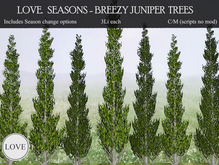 LOVE - SEASONS - JUNIPER TREES - BREEZY EFFECT