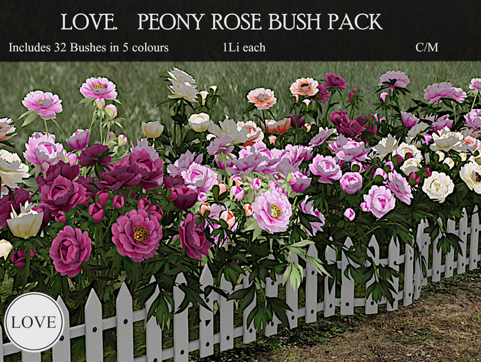 LOVE - PEONY ROSE BUSH PACK 