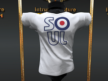 :::IDJ::: Soul Tee Shirt Delivery HUD