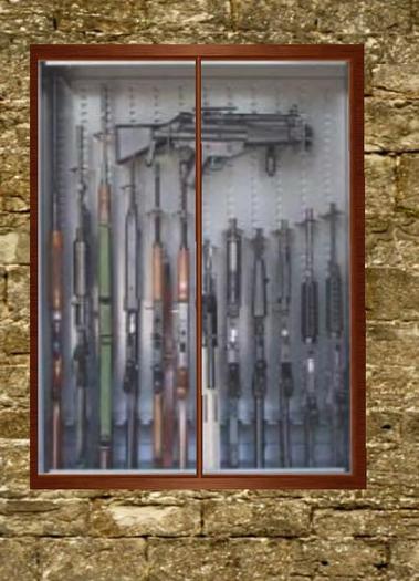 Gun Cabninet 2