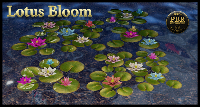  Lotus Bloom PBR