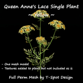 T-Spot Mesh - Single Queen Anne's Lace Plant - Yellow - FP - LI=2.1