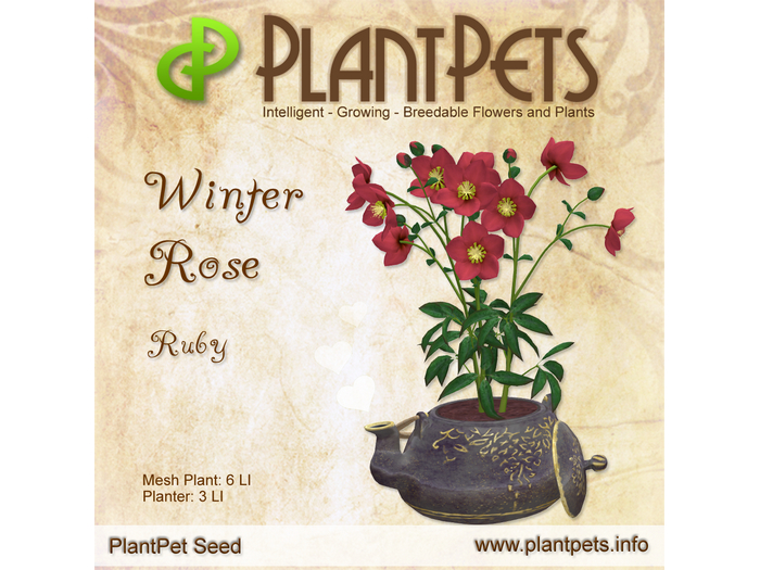 PlantPet Seed [Winter Rose *Ruby*]