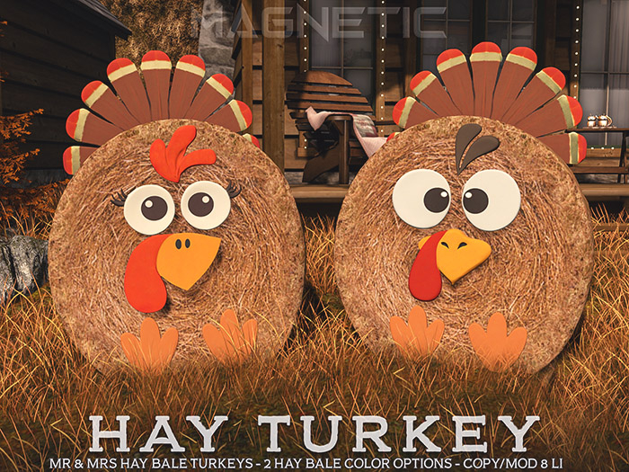 Magnetic - Hay Turkey