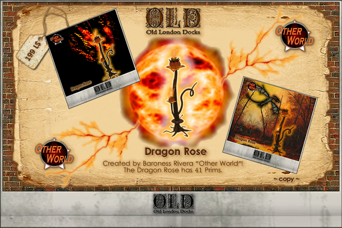 Dragon Rose (Box)