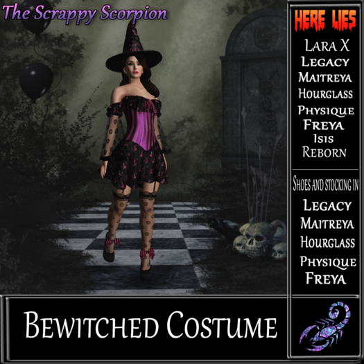 Bewitched Costume