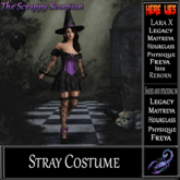 Stray Costume