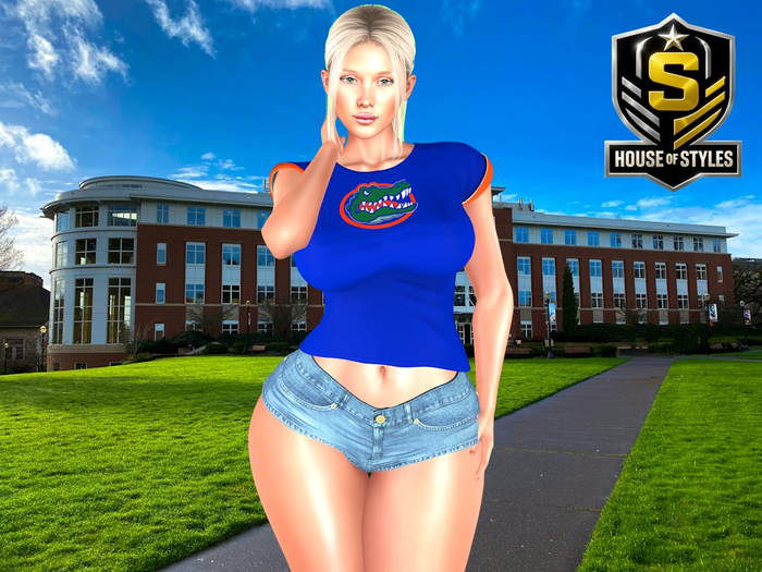 Florida Gators Ladies Tee (Blue)