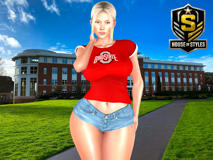 Ohio State Buckeyes Ladies Tee (Red)