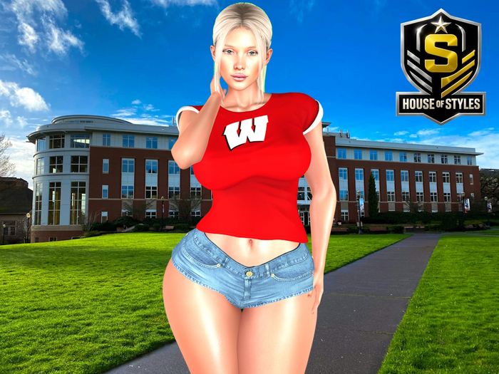 Wisconsin Badgers Ladies Tee (Red)